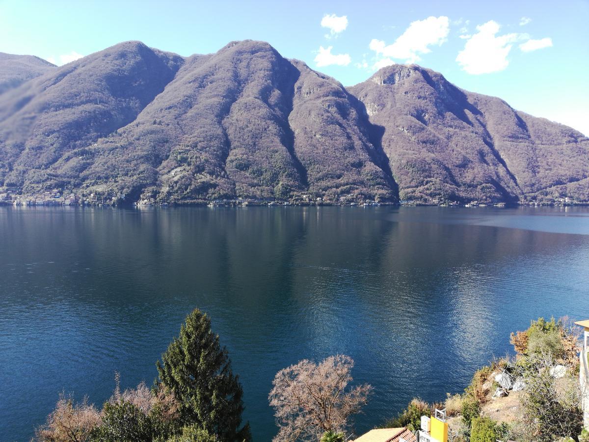 Giardino sul lago, La Vigna Nesso Esterno foto